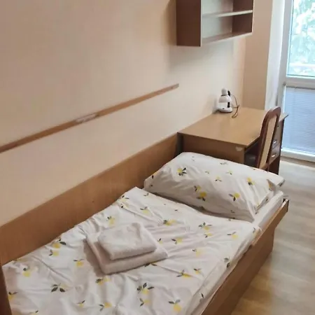 Turisticka Pri Spojenom Skolskom Internate Werferova 10 Πανσιόν *